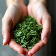 Image illustrating process step: Hands holding fresh herbs